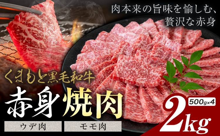 黒毛和牛 赤身 ウデモモ 焼肉 2kg《30営業日以内に出荷予定(土日祝除く)》熊本県 氷川町 牛 牛肉 和牛 ブランド牛