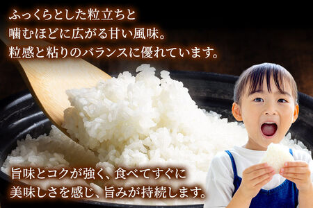 米《定期便4ヶ月》サキホコレ【白米】 米どころ秋田県産 令和7年産 精米 15kg（5kg×3袋）