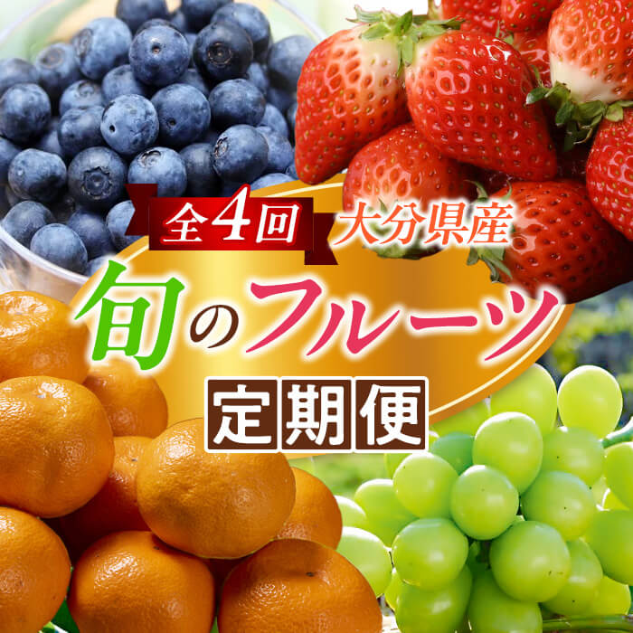 【ふるさと納税】＜定期便＞ 大分県産 旬のフルーツ定期便 (全4回・総量9kg) ブルーベリー シャインマスカット 温州みかん いちご フルーツ 果物 定期便 大分県産 国産 柑橘 みかん ぶどう ＜北海道・沖縄・離島配送不可＞ 【opng014】【全国農業協同組合連合会 大分県本部】