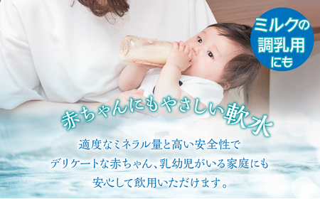【12ヶ月定期便】富士山麓 四季の水／500ml×2箱・ミネラルウォーター SWAB015水 ミネラルウォーター 定期便 定期 500ml 500ミリリットル 水 ミネラルウォーター 定期便 定期 5