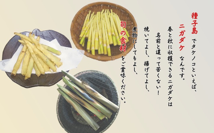 【 先行予約 】「焼酎しま茜」と「春のニガダケ」のセット　NFN028【325pt】
