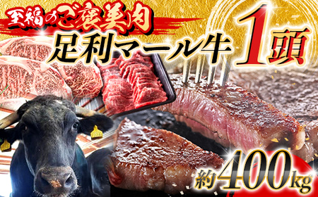 【至福のご褒美肉】足利マール牛1頭！　約400kg F7Z-1651