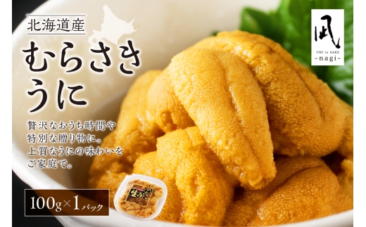 【先行予約】《北海道産》ムラサキウニ 塩水 100g＜札幌カネシン水産＞