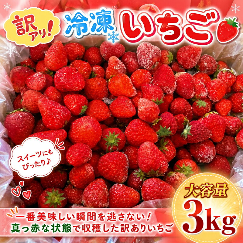 【ふるさと納税】 【訳あり】 冷凍いちご 3kg 冷凍 いちご 果物 フルーツ デザート アイス ジャム ヨーグルト スムージー シャーベット ケーキ ショートケーキ ストロベリー おやつ 苺 イチゴ 冷凍食品 訳あり 訳アリ 人気 子ども JA湘南 湘南農業協同組合 神奈川県 平塚市