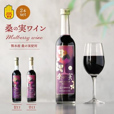 ふるさと納税 合志市 【毎月定期便】桑の実ワイン甘口・辛口2本セット(各500ml)全3回