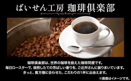 タンザニア キリマンジャロコーヒー 500g 豆 ＆古墳ドリップバッグ 1袋 ミディアムロースト 株式会社ばいせん工房 珈琲倶楽部《30日以内に出荷予定(土日祝除く)》｜コーヒードリップコーヒードリッ