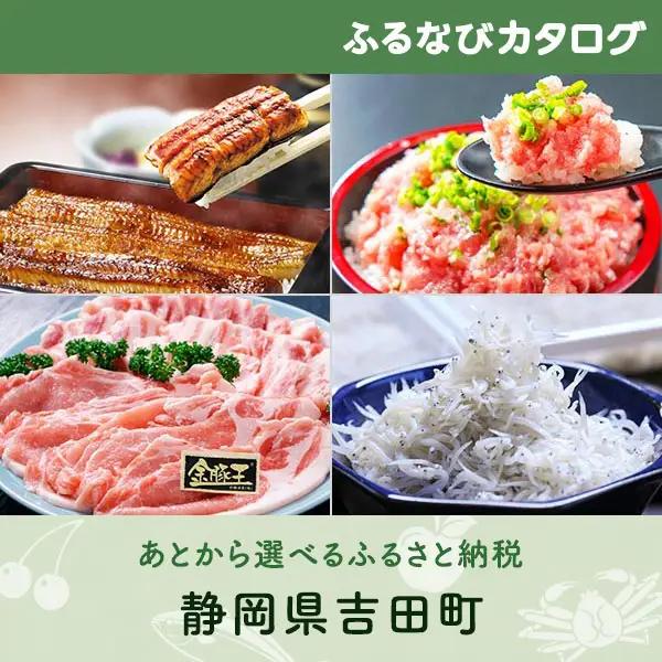 【有効期限なし！後からゆっくり特産品を選べる】静岡県吉田町カタログポイント
