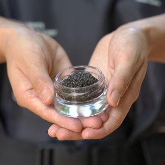 《訳あり・簡易パッケージ版》THE・CAVIAR(ザ・キャビア)10g バエリのecoパッケージ [高級 国産 日本産  BAERII 『返礼品特集20000円以下』-宮崎県高原町] TF0531-P