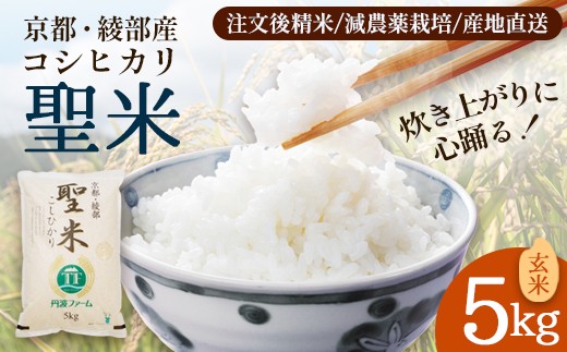 「聖米」 玄米 5kg / 米 玄米 国産 綾部市 / 有限会社カメイ［BSDY080］
