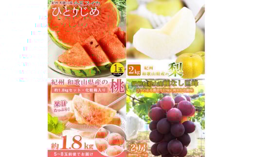 【全4回】紀州和歌山産旬のフルーツ定期便 (スイカ・桃・巨峰・梨) / すいか スイカ もも 桃 白桃 巨峰 葡萄 ぶどう なし 梨 ナシ 洋ナシ 和梨 果物 くだもの フルーツ フルーツ定期便 和歌山【tkb422】