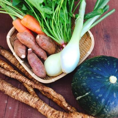 ふるさと納税 長崎県 長崎県産の野菜を使用したノンフライスナック　【やさいのカリカリ】　8袋セット |  | 03