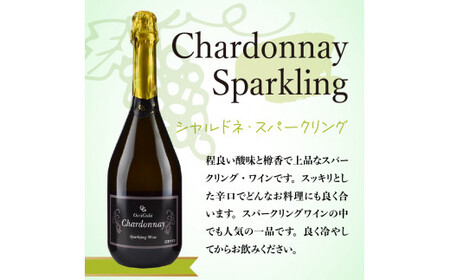 【OcciGabi Winery】人気の紅白スパークリング・ワイン・セット　特別なおもてなしに スパークリング ワイン 紅白セット 750ml ×各1本 【余市のワイン】オチガビワイナリー 北海道 余