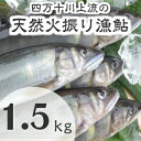 【ふるさと納税】Esj-13k 四万十川上流の天然鮎　冷凍　火振り漁鮎（5～18尾）【着日指定不可】