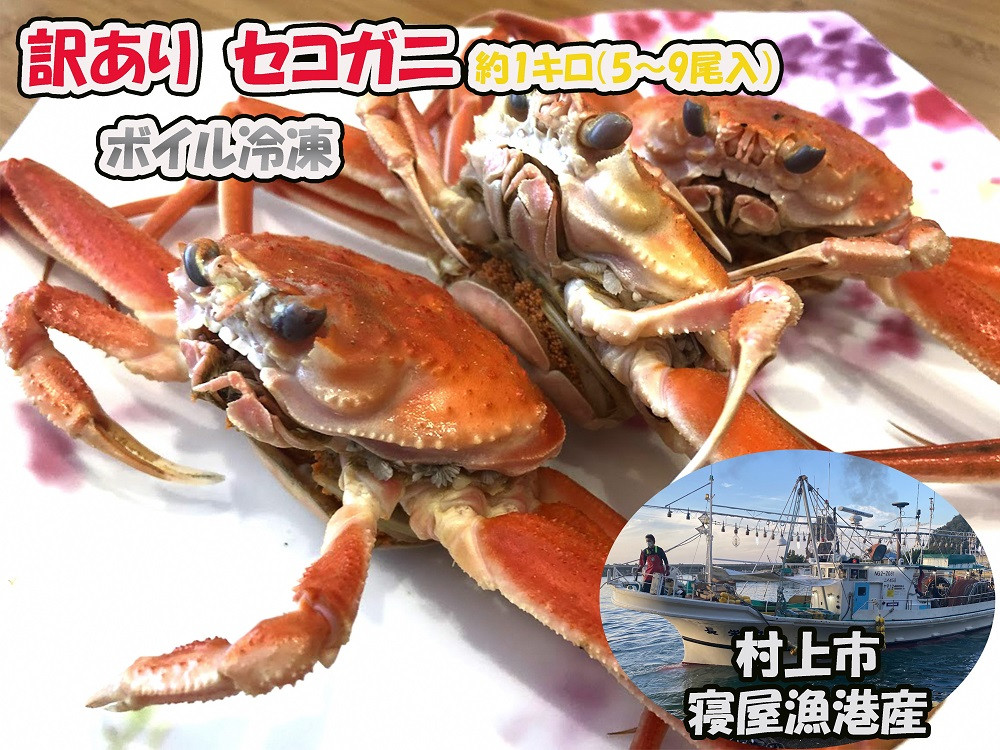 
            【訳あり】セコガニ 約1kg（5～9尾入）【新潟県村上市寝屋漁港産】【数量・期間限定】 C4088
          