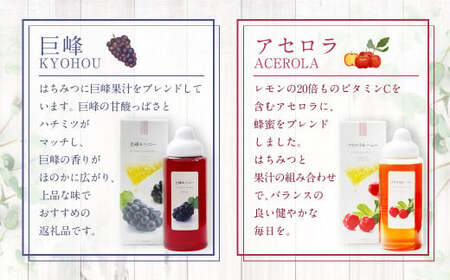 熊本 杉養蜂園 【ゆず蜜×アセロラ】果汁入り はちみつ 500g 2種 計1kg 食べ比べ 蜂蜜