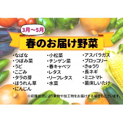 ふるさと納税 七宗町 七宗町から発送　新鮮野菜詰めあわせセット(季節の野菜7〜8種類)