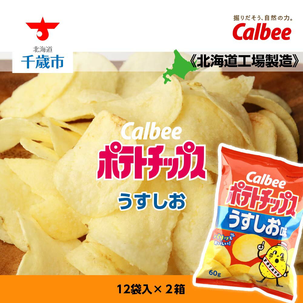 【ふるさと納税】カルビーポテトチップス＜うすしお＞12袋入×2箱《北海道工場製造》 お菓子 スナック菓子 北海道産 じゃがいも ポテトチップス 北海道ふるさと納税 千歳市 ふるさと納税【北海道千歳市】