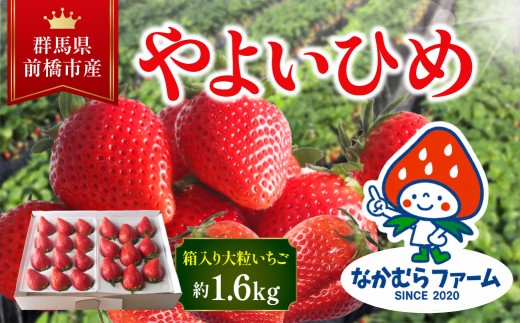 いちご『やよいひめ』約1.6㎏（1,600g）　【群馬県いちご品評会入賞！】
