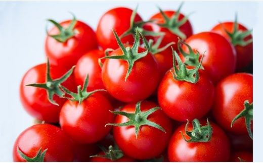 出雲の國からの贈り物～トマトを超えた超トマト３kg| トマト とまと 野菜 やさい 新鮮 産地直送 贈答 出雲 出雲市