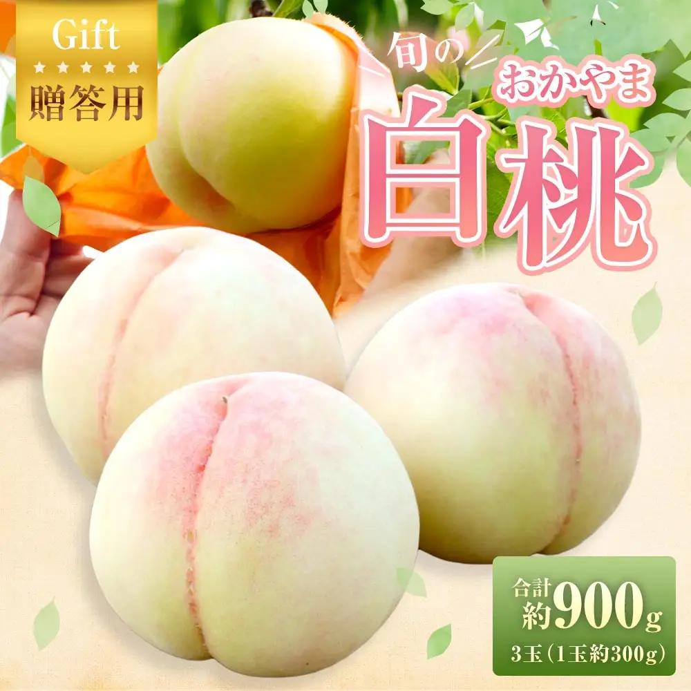 【 贈答用 】 旬のおかやま白桃 3玉 （ 約900g ） 桃 もも モモ 白桃 ピーチ フルーツ 果物 くだもの 果実 おやつ デザート スイーツ 岡山県産 国産 【 2026年7月上旬～8月下旬迄発送予定 】