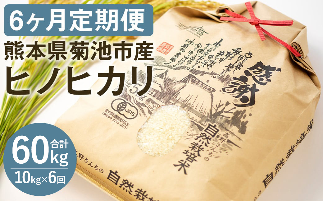 【6ヶ月定期便】【真空パッケージ】熊本県 菊池産 ヒノヒカリ 白米 10kg 令和7年産《お申込みの翌月から発送予定》七城物語 高野さんちの自然栽培米 精米 米 お米 自然栽培米 特A 国産 九州産 熊本県産 送料無料---045-3018---
