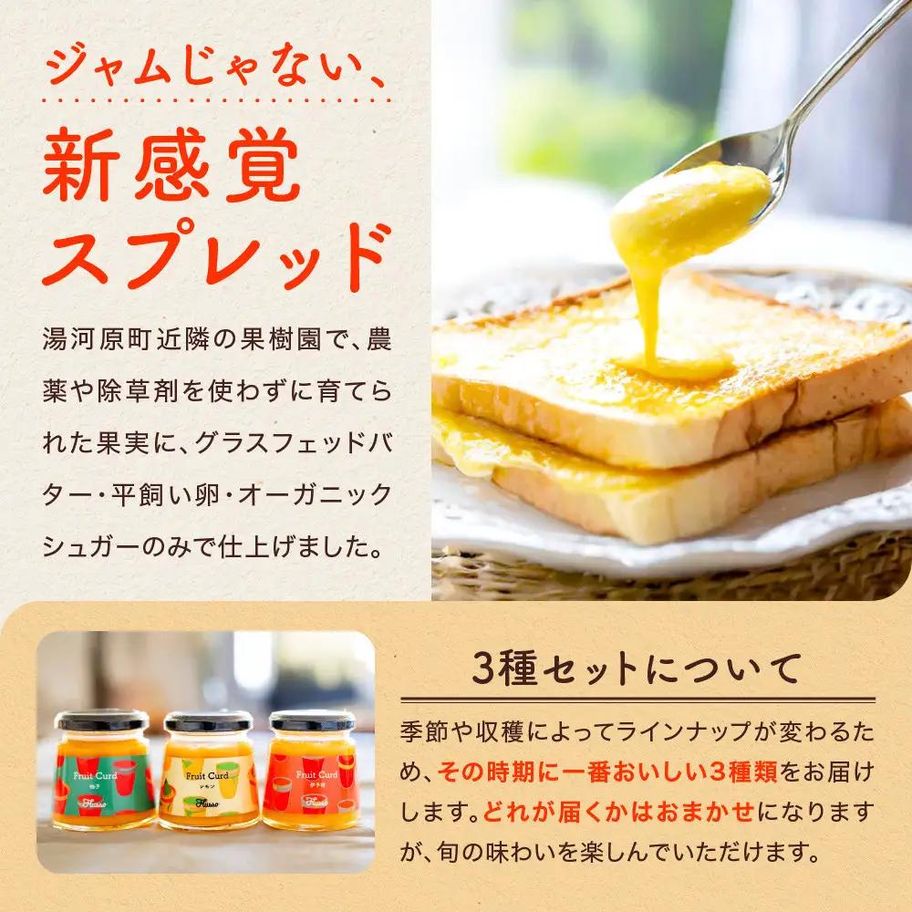 フルーツカード 3個セット（旬の柑橘・おまかせ）英国伝統の柑橘スプレッド｜パン・ヨーグルト・お菓子作りに