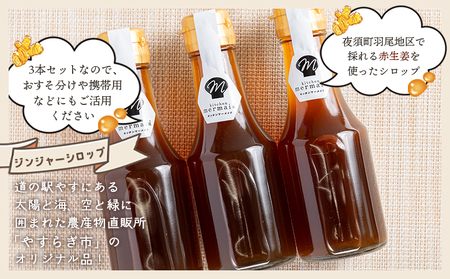 【定期便／年6回お届け】 香南市ジンジャーシロップ 生姜 (150ml)×3本セット 定期便 Wyr-0135