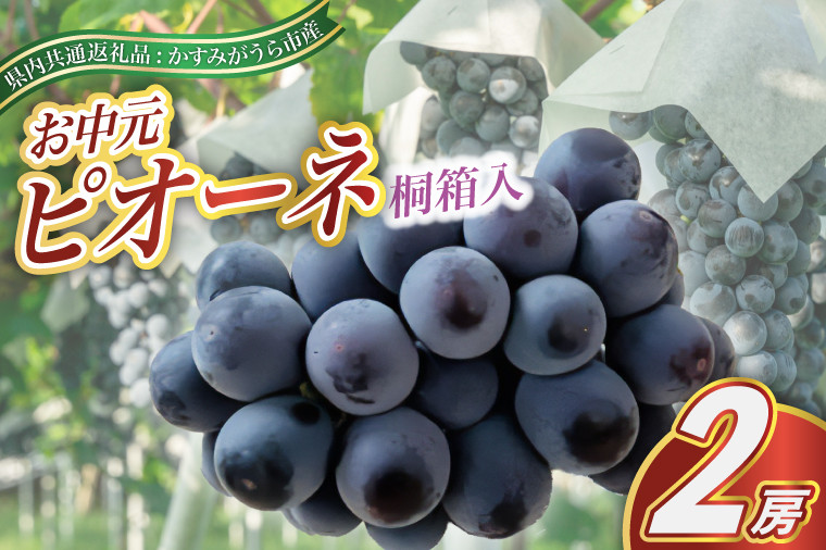 
            ＜2025年8月より順次発送予定＞お中元　ピオーネ桐箱入り2房 (県内共通返礼品:かすみがうら市産) (BR105)
          