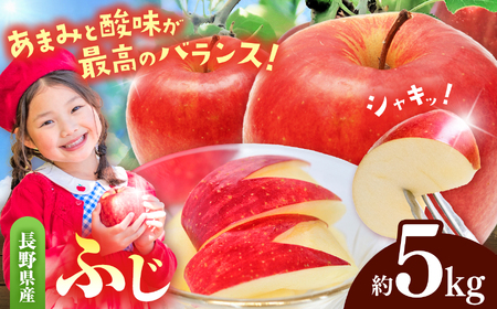 有機肥料栽培 りんご ふじ5kg｜伊那 りんご ふじ フルーツ 果物 甘い 農園 林檎 ふるさと納税 長野県【011-05】