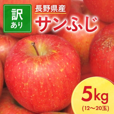 【先行受付】長野県産 サンふじ りんご 家庭用 訳あり 5kg(12～20玉)【1360194】