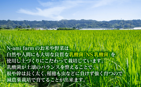 【令和7年産新米・先行予約】ヒノヒカリ 10kg　※10月中旬以降順次発送予定＜2.4-9＞
