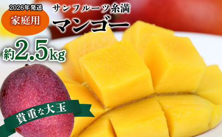 【2026年発送】サンフルーツ糸満マンゴー貴重な大玉 家庭用　約2.5kg 産地直送 先行予約 フルーツ 果物 くだもの アップルマンゴー アップル アーウィン種 濃厚 デザート 贅沢 旬の果物 甘い おすすめ プレゼント 贈答 冷蔵 国産 沖縄 沖縄県産