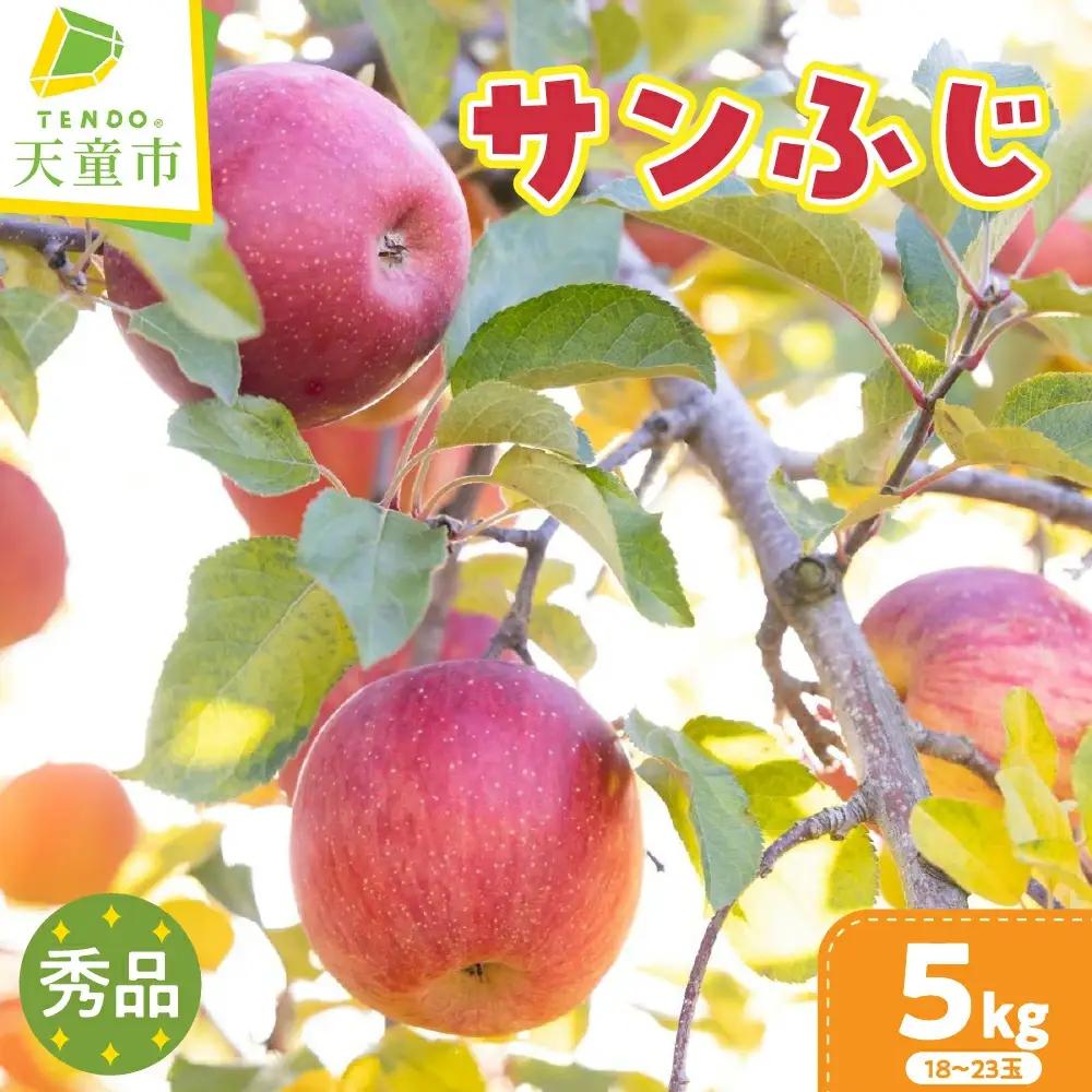 りんご サンふじ 5kg フルーツ 果物 りんご