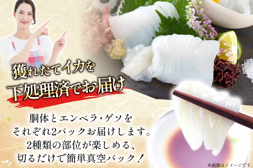 海鮮 魚介 イカ 2種盛り（胴体＋ エンペラ ・ ゲソ ） 3回 定期便 [舘浦漁協 長崎県 平戸市 hr42bgy420813] おつまみ 新鮮 刺身 下足 セット 盛り合わせ 瞬間冷凍 冷凍 コリ