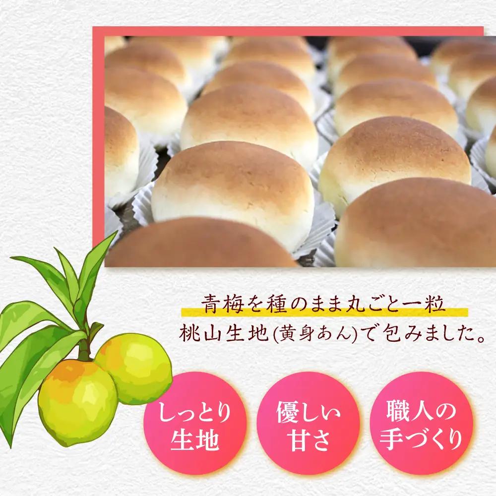 和菓子 築上銘菓「 梅の実 」8 個 [ABAC016] 和菓子