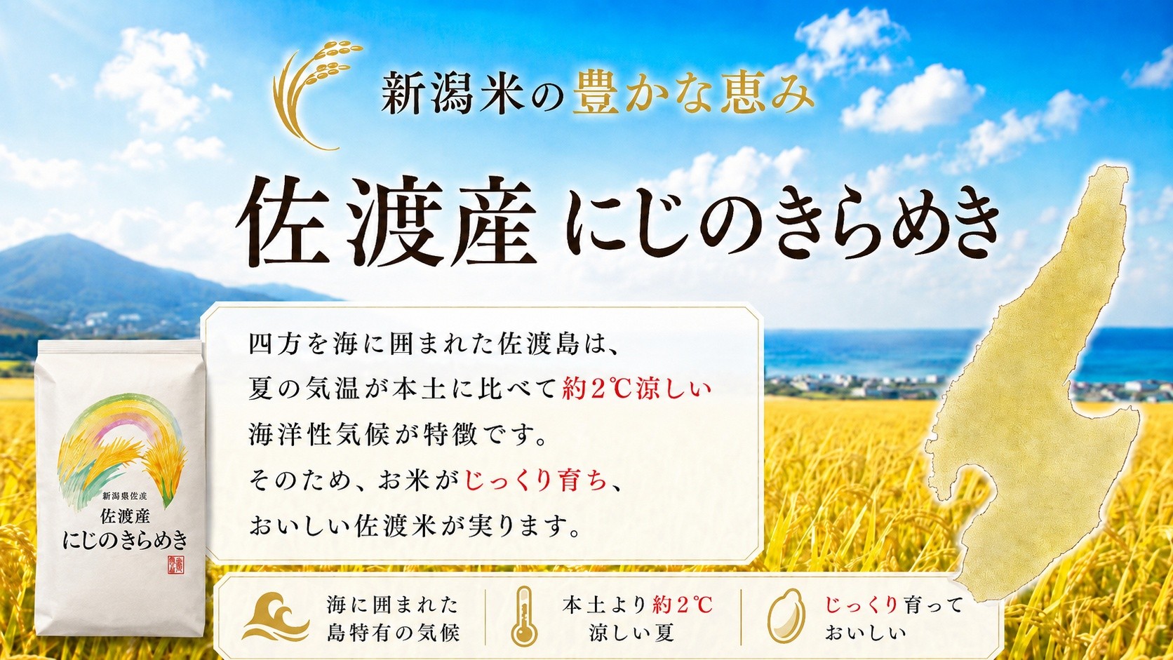 【先行予約 令和8年産】佐渡産にじのきらめき 精米5kg