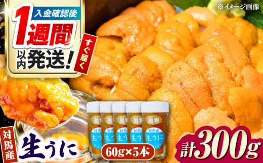 【1週間以内発送】対馬産 生うに 60g×5本《対馬市》【保家商事】 ウニ うに 紫雲丹 ムラサキウニ 刺身 海鮮 海産 雲丹 [WAA034] スピード発送 最速発送 最短発送