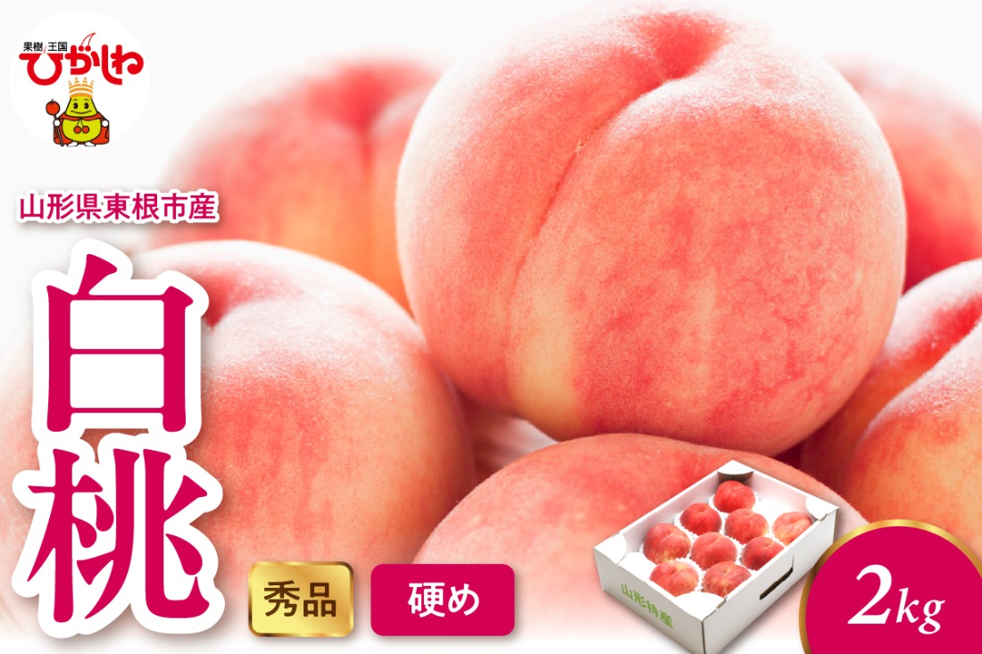 2025年産 白桃（硬め） 2kg 秀品 山形県 東根市 hi082-012-2