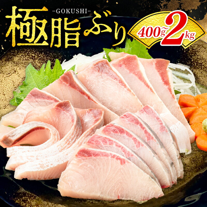 【ふるさと納税】ぶり ロイン 400g 1kg 2kg 鰤 ブリ わけあり 訳あり品 国産 養殖 鮮魚 魚 ぶり大根 煮付け 和食 小分け 真空 パック お取り寄せ ご飯 に 合う 便利 惣菜 おかず 弁当 黒潮 高知県 宿毛市 10000円 20000円 40000円