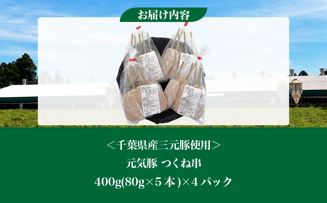 【千葉県産三元豚】元気豚 つくね串 20本セット　合計1.6kg(80g×20本)【配送不可地域：離島・沖縄県】【1539855】 TAKB062