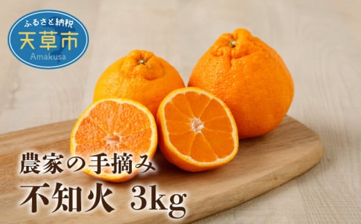 S040-010_農家の手摘み不知火 約3kg〈先行受付〉