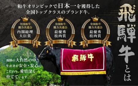 飛騨牛 ステーキ A5等級 サーロイン 300g分 ステーキ  JQ023-CP01 FN-Limited-PR