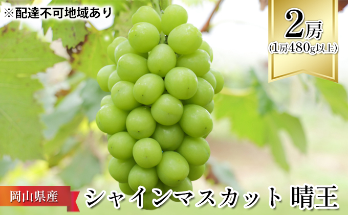 ぶどう 2025年 先行予約 シャイン マスカット 晴王 2房 （1房480g以上） 化粧箱入り マスカット ブドウ 葡萄  岡山県産 国産 フルーツ 果物 ギフト はれおう 