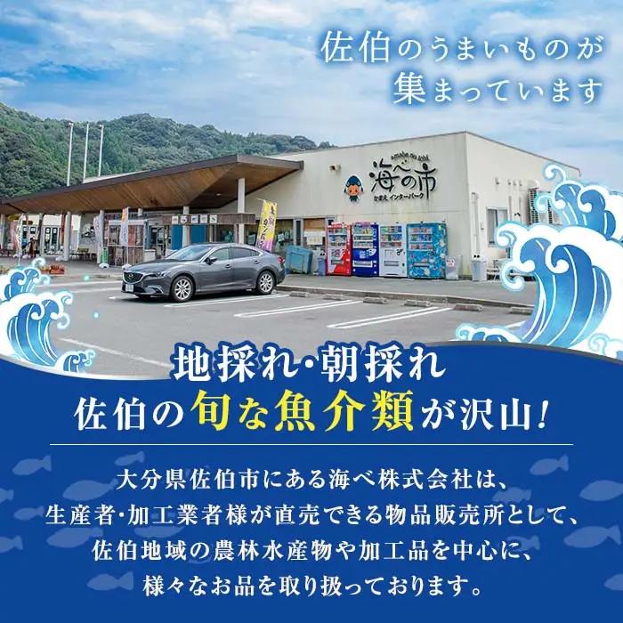 冷凍 ヒオウギ貝 (計10枚) 魚介 貝 ヒオウギ貝 ひおうぎ貝 酒蒸し 網焼き バター焼き バーベキュー 獲れたて 海の直売所 大分県 佐伯市【AS151】【海べ】