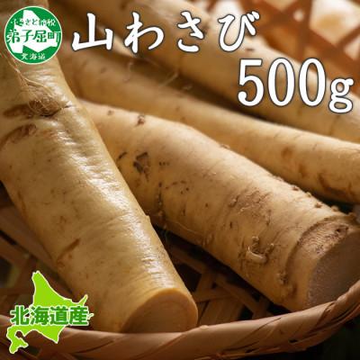 ふるさと納税 弟子屈町 【北海道】 天然 山わさび 500g前後 弟子屈町より直送 3166