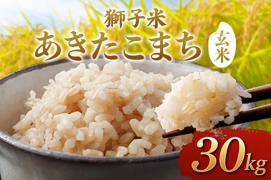 【令和8年産】獅子米　あきたこまち（玄米）30kg　B02-095