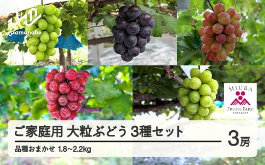 【農業者支援】≪先行予約≫ご家庭用 2025年山形県産 品種おまかせ 大粒ぶどう3種セット 1.8～2.2kg（3房） 2025年9月中旬から順次発送 ぶどう ブドウ 葡萄 マスカット 大粒 種なし皮