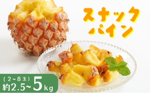
                  ＜選べる容量＞パイナップル スナックパイン 約2.5～5kg 2～8玉 パイン 果物 フルーツ 沖縄 西表島【TOK:iふぁーむ】配送不可：離島
                