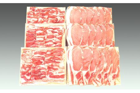 251 豚肉 小分け 焼肉 2種セット 1.2kg バラ ロース 真空パック 個包装 冷凍 浅倉ポーク 茨城県産【浅倉畜産】