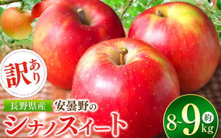 *【2025年先行予約】訳あり シナノスイート 約8～9kg ｜東印平林農園  リンゴ りんご 林檎 果物 フルーツ 果実 果汁 シナノスイート しなのすいーと 家庭用 わけあり 訳アリ 長野県 松川村
